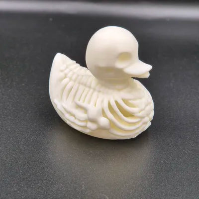 Skeleton Duck