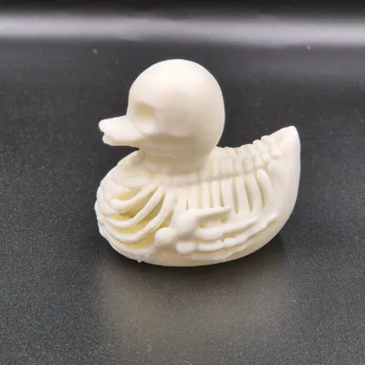 Skeleton Duck
