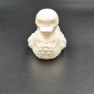 Skeleton Duck