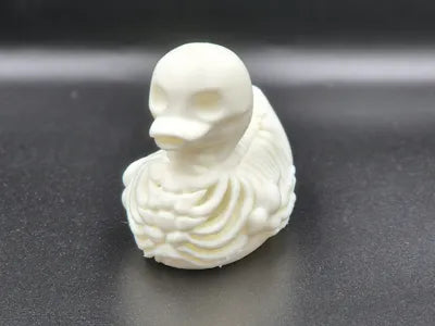 Skeleton Duck