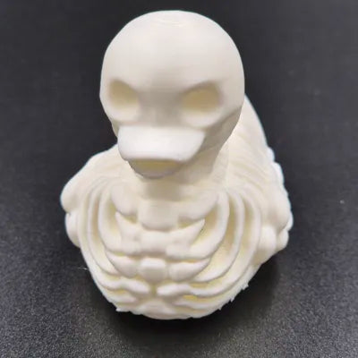 Skeleton Duck